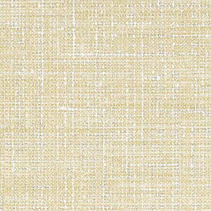 y10mȏwőzTQc̕ǎ tFCX (FAITH) TH32194 10mȏ1mPʂŔ̔