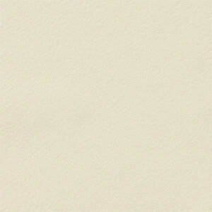 y10mȏwőzTQc̕ǎ tFCX (FAITH) TH32210 10mȏ1mPʂŔ̔