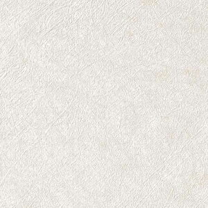 y10mȏwőzTQc̕ǎ tFCX (FAITH) TH32275 10mȏ1mPʂŔ̔