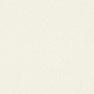 y10mȏwőzTQc̕ǎ tFCX (FAITH) TH32339 10mȏ1mPʂŔ̔