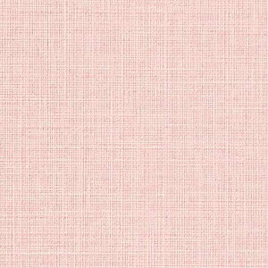 y10mȏwőzTQc̕ǎ tFCX (FAITH) TH32386 10mȏ1mPʂŔ̔