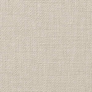 y10mȏwőzTQc̕ǎ tFCX (FAITH) TH32537 10mȏ1mPʂŔ̔