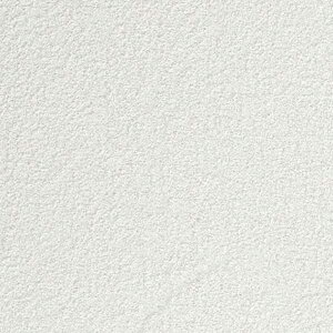 y10mȏwőzTQc̕ǎ tFCX (FAITH) TH32548 10mȏ1mPʂŔ̔