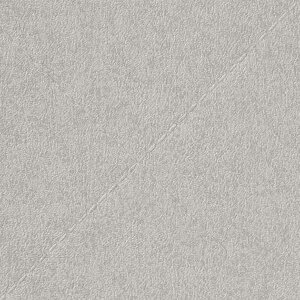 y10mȏwőzTQc̕ǎ tFCX (FAITH) TH32743 10mȏ1mPʂŔ̔