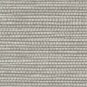 y10mȏwőzTQc̕ǎ tFCX (FAITH) TH32783 10mȏ1mPʂŔ̔