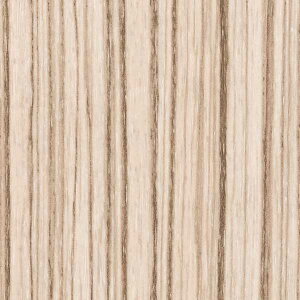 y10mȏwőzTQc̕ǎ tFCX (FAITH) HF2005 10mȏ1mPʂŔ̔