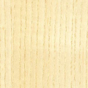 TQc̕ǎ tFCX (FAITH) SGC156-S 1PʂŔ̔ 󒍐YiI