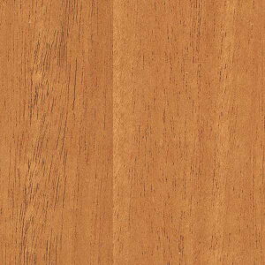 TQc̕ǎ tFCX (FAITH) SGC161-S 1PʂŔ̔ 󒍐YiI