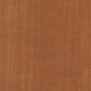 TQc̕ǎ tFCX (FAITH) SGC162-S 1PʂŔ̔ 󒍐YiI