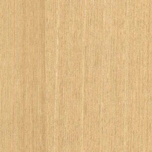 TQc̕ǎ tFCX (FAITH) SGC166-S 1PʂŔ̔ 󒍐YiI