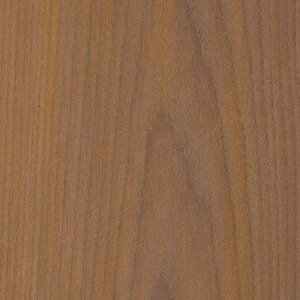 TQc̕ǎ tFCX (FAITH) SGC170-L 1PʂŔ̔ 󒍐YiI