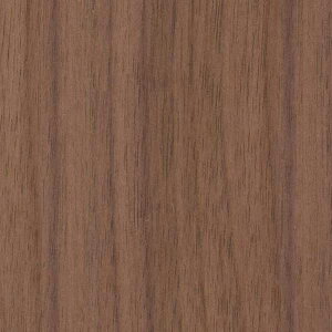 TQc̕ǎ tFCX (FAITH) SGC172-S 1PʂŔ̔ 󒍐YiI