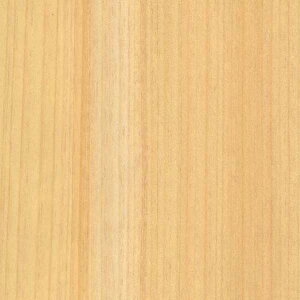 TQc̕ǎ tFCX (FAITH) SGC173-L 1PʂŔ̔ 󒍐YiI