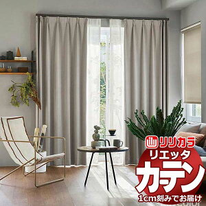 yn݂̂̍wI 1mȏ10cmPʂōw\zJ[e VF[h J Gb^ ET198EET199 h[v n150cm