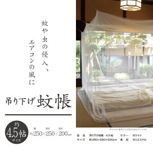 yzKNI݂艺ᒠ 4D5p 2.5x2.5x2