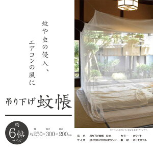 yzKNI݂艺ᒠ 6p 2.5x3x2
