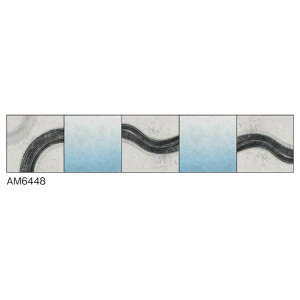 CeAt[ A[gpl `⒊ەƃOf[VAn̑gݍ킹y߂܂ a 45p5A AM6448