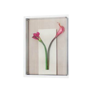 �C���e���A�t���[�� �C���e���A�f�R �ǂɎ��t���� �㎿�ŃX�^�C���b�V���ȋ�� �t�����[ W450xH600xD96mm AR3111