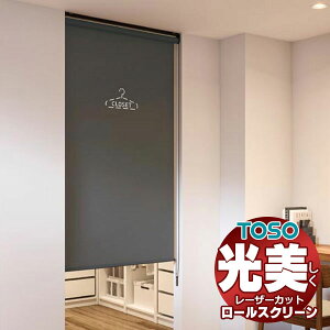 �y�ő�|�C���g23�{�{�N�[�|���z���[�U�[�J�b�g ���[���X�N���[�� �g�[�\�[ ���m�t�@�u TR-6089�`TR-6112 TYPE424 ��500×����1200mm��