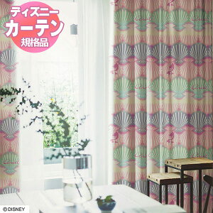 �y���������z �����J�[�e�� �f�B�Y�j�[�z�[���V���[�YEDTION.11 �v�����Z�X�^�V�F��