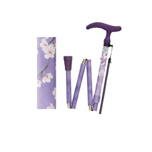 EH[LOEXebLE VjAT|[g ͂ ANeBuO[X ܏S WB3753 p[v