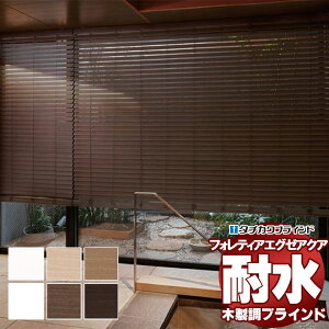 yőN[|{|CgGETzؐuCh ōi ^`JuCh  tHeBAGO[ANA50 ϐ FT-6401`6405 `F[ 200×280cm