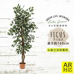 【送料無料_e】人工観葉植物 大型 フェイクグリーン インテリア 造花 フィカス 160cm