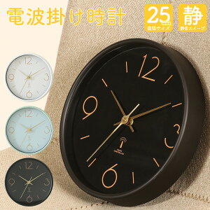 _P10{11/11()01:59܂Ł^y_azdgv dg Ǌ| |v AIX a25cm