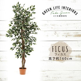 【送料無料_d】人工観葉植物 大型 フェイクグリーン インテリア 造花 フィカス 160cm