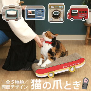 y_bzL ܂Ƃ er ʋl h[ oX XP{[ i g |bv 2J[ lR  eiX XgX ObY