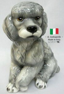 v[h u IuWF h6-37-gr yz C^A   G  Ck