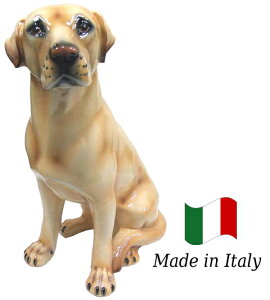 uh[ u IuWF h6-84 yz C^A   G  Ck