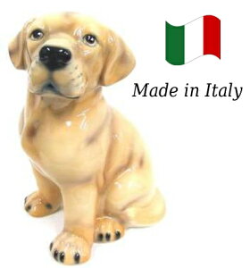 uh[ u IuWF h6-49 yz C^A   G  Ck