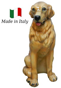 S[fbho[ u IuWF h6-79 yz C^A   G  Ck