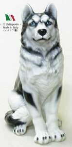 VxAnXL[ u IuWF h6-75h yz C^A   G  Ck