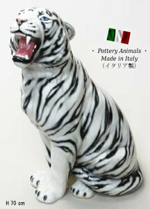 zCg^CK[ u IuWF h6-86wsd yz C^A   G Ƃ g  tiger ҏb b H ^CK[