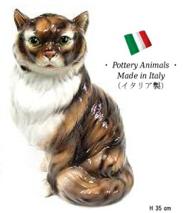 lR u IuWF h6-39t yz C^A   G L ˂ cat