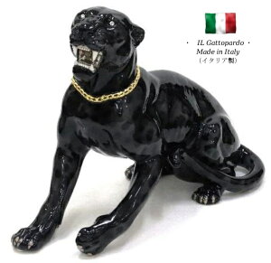 qE ubN Ip[h pT[ u IuWF h6-393lp yz C^A   G  qE ^ black leopard ҏb b H