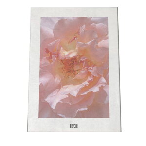 A[gvg |X^[ CeA Vv  ؍ [bp i` k {^jJ  O[ JtF g Be[W sN a0 a1 a2 a3 a4 b0 b1 b2 b3 b4  傫 