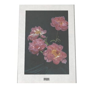 A[gvg |X^[ CeA Vv  ؍ [bp i` k {^jJ  O[ JtF g Be[W sN a0 a1 a2 a3 a4 b0 b1 b2 b3 b4  傫 