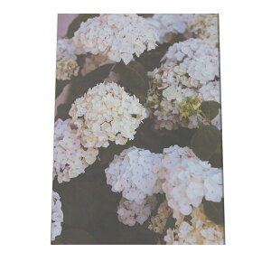 A[gvg |X^[ CeA   킢 ؍ [bp i` sN k JtF g Be[W  t[ z AWTC ~J J a0 a1 a2 a3 a4 b0 b1 b2