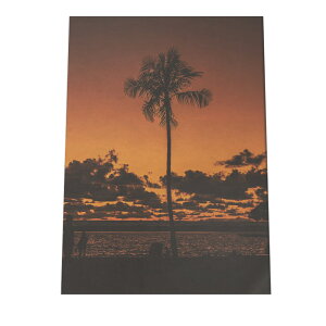 A[gvg |X^[ CeA  ʐ^  tB Vv  C g @[ TZbg C  [ r[` JtHjA 썑 V̖ a0 a1 a2 a3 a4 b0 b1 b2 b3 b4 