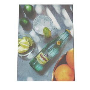 A[gvg |X^[ CeA  ʐ^  Vv   J  H I i` ϐA {^jJ  掿 A JtF {g a0 a1 a2 a3 a4 b0 b1 b2 b3 b4 