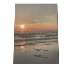 A[gvg |X^[ CeA  A[g g T[t T[t@[ TZbg C  [ LC Y JtHjA 썑 V̖ i` a0 a1 a2 a3 a4 b0 b1 b2 b3 b4  