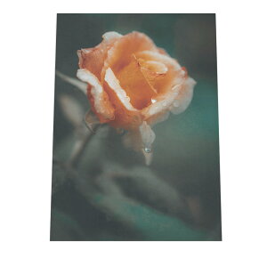 A[gvg |X^[ CeA  KN o  t[ sN ԕr  JtF k ؍ _ G G g Be[W AJ AeB[N a0 a1 a2 a3 a4 b0 b1 b2 b3 b4 