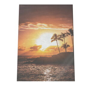 A[gvg |X^[ CeA  tHg ؍ k A[g _ g T[t T[t@[ TZbg C  [ JtHjA 썑 V̖ i` a0 a1 a2 a3 a4 b0 b1 b2 b3 b4