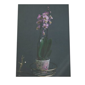 A[gvg |X^[ CeA   t[ a  zeCN l A[g _ G G g Be[W AJ AeB[N  a0 a1 a2 a3 a4 b0 b1 b2 b3 b4 