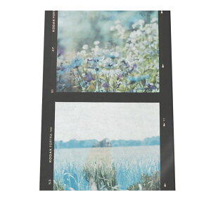 A[gvg |X^[ CeA  A[g All   u[ {^jJ R i` JtF ؍ k G 킢 a0 a1 a2 a3 a4 b0 b1 b2 b3 b4  傫  cyfg