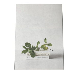 A[gvg |X^[ CeA  A ϗtA k t O[ R Vv G mN i` [bp ؍ JtF A[g ʐ^ tHg a0 a1 a2 a3 a4 b0 b1 b2 b3 b4