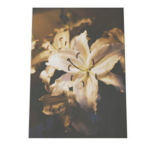 A[gvg |X^[ CeA  A[g ͂ Vv  zCg S 킢 A R {^jJ k ؍ JtF t[ fR[V a0 a1 a2 a3 a4 b0 b1 b2 b3 b4 